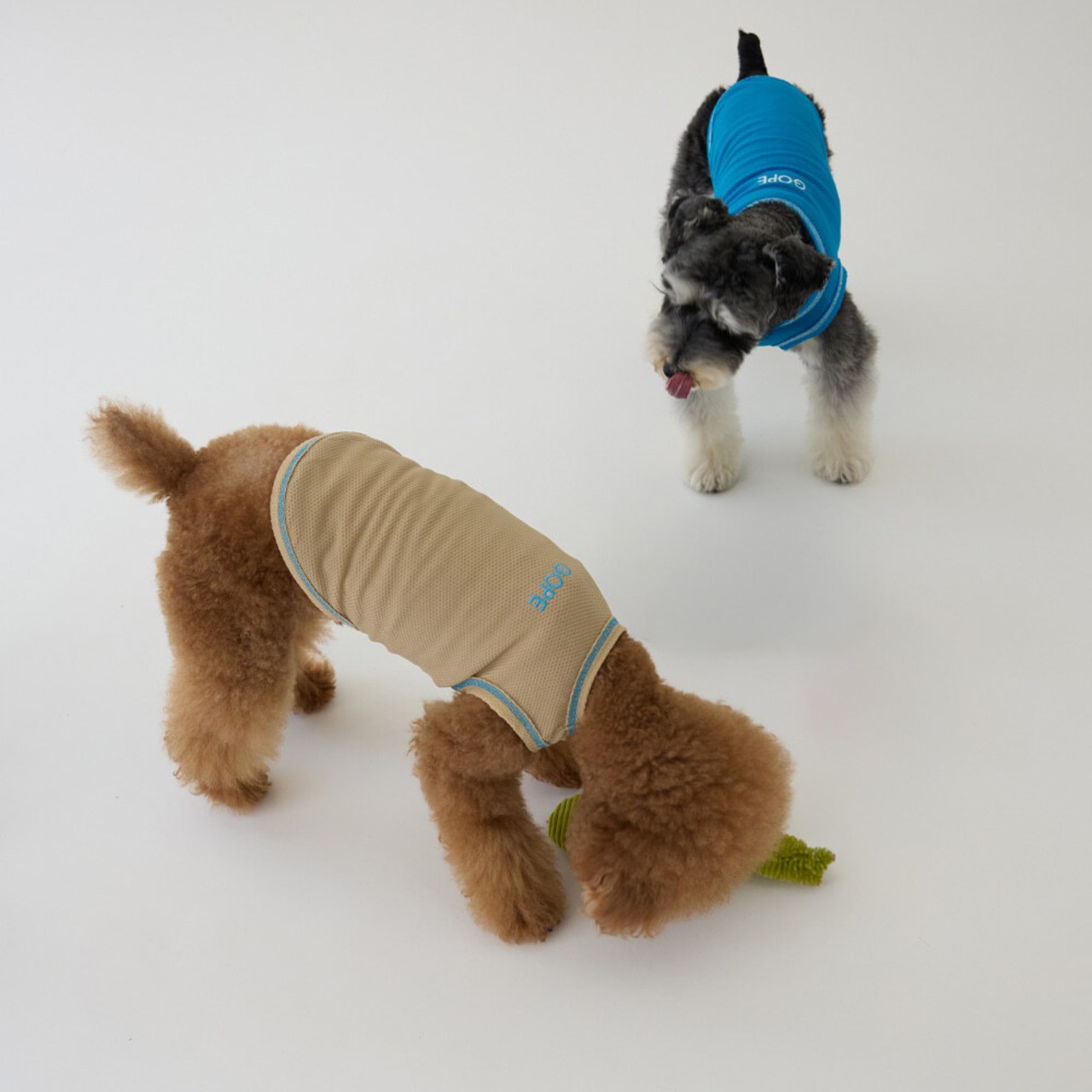 【予約】[ GOPE ] Stretch Mesh Sleeveless｜BEIGE × AQUA BLUE - 11