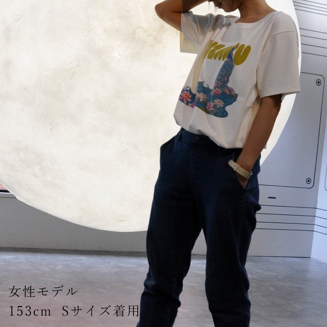 ドローイング作品「白鳥」