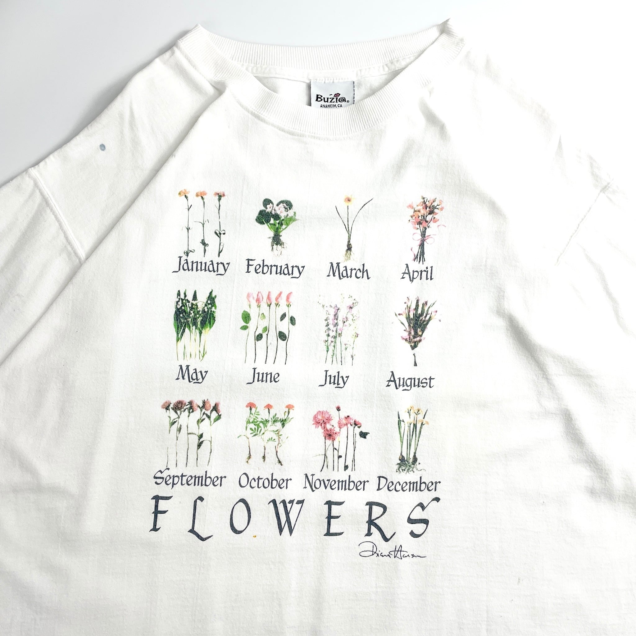 90s Flowers Botanical Graphic T-Shirt