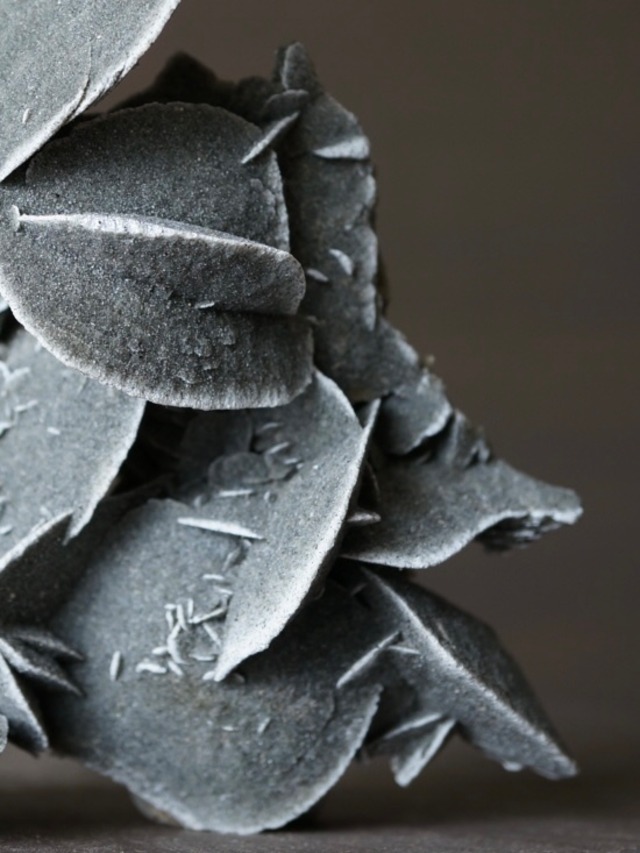 デザートローズ Desert Rose 1049