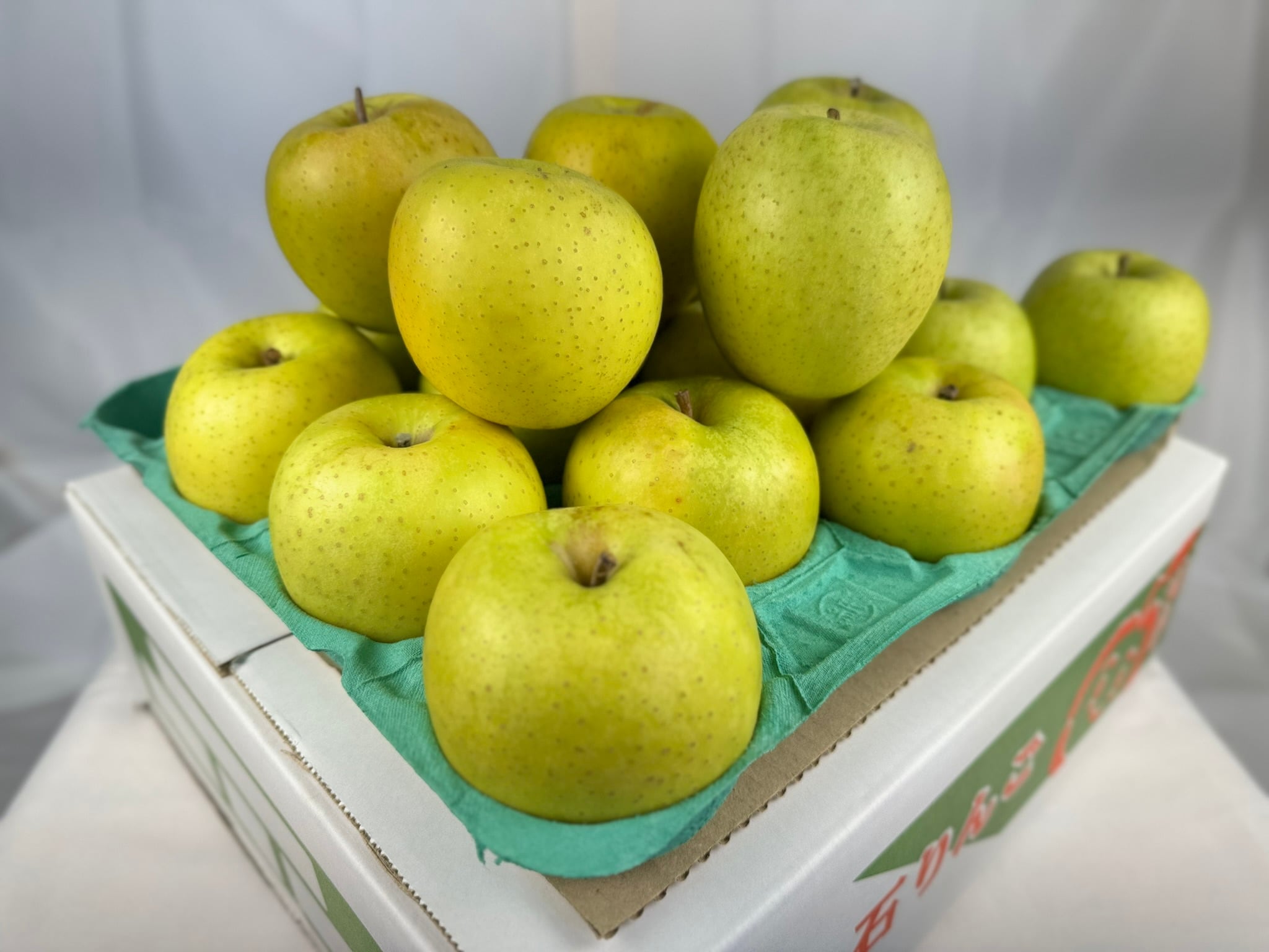 青リンゴの王様【王林】 糖度保証 訳あり品 5kg（14個〜23玉  