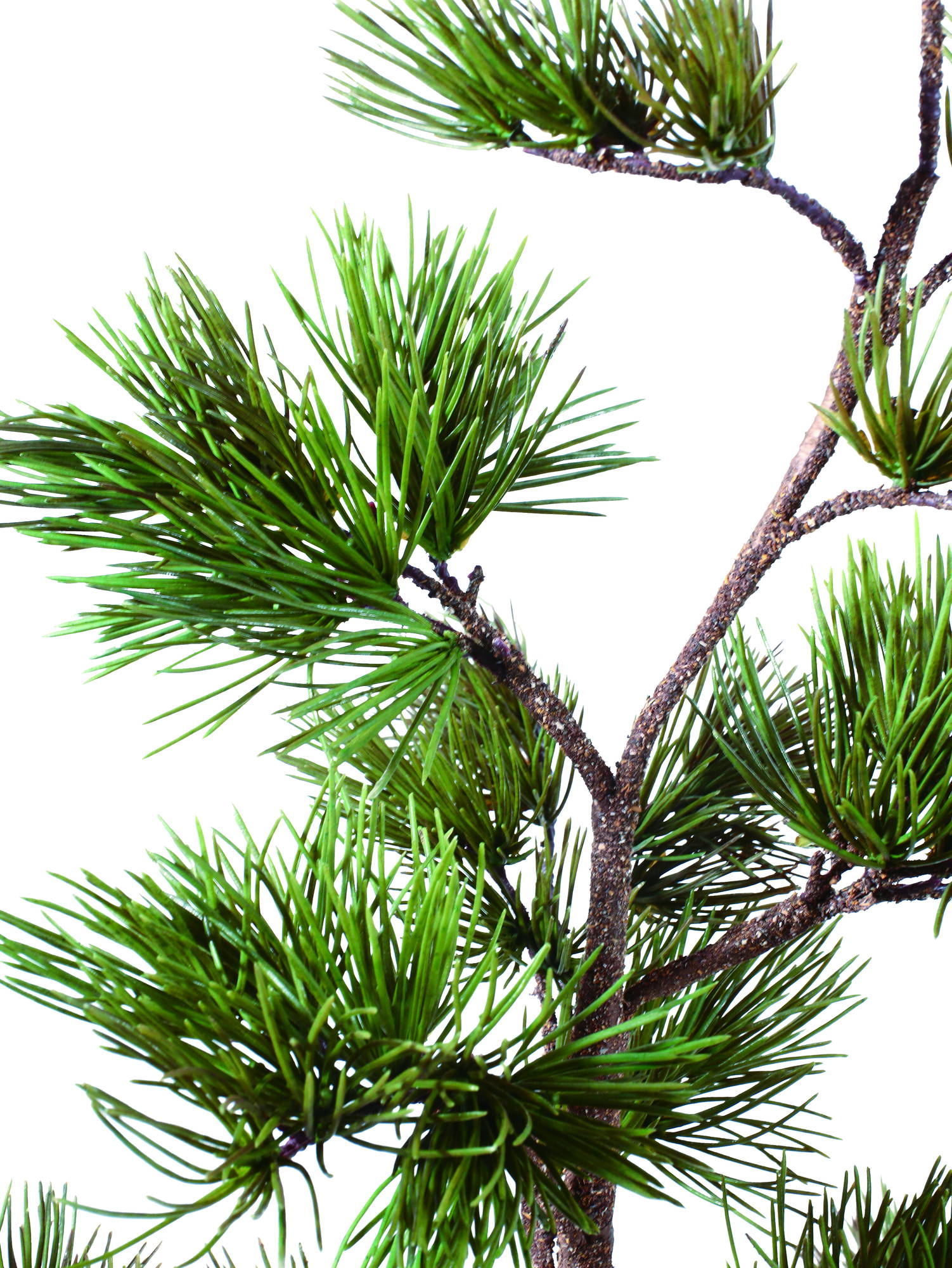 ダイゴヨウマツ　　FG-5187GR　4961823420221　造花（アーティフィシャルフラワー） > 定番造花グリーン（素材）