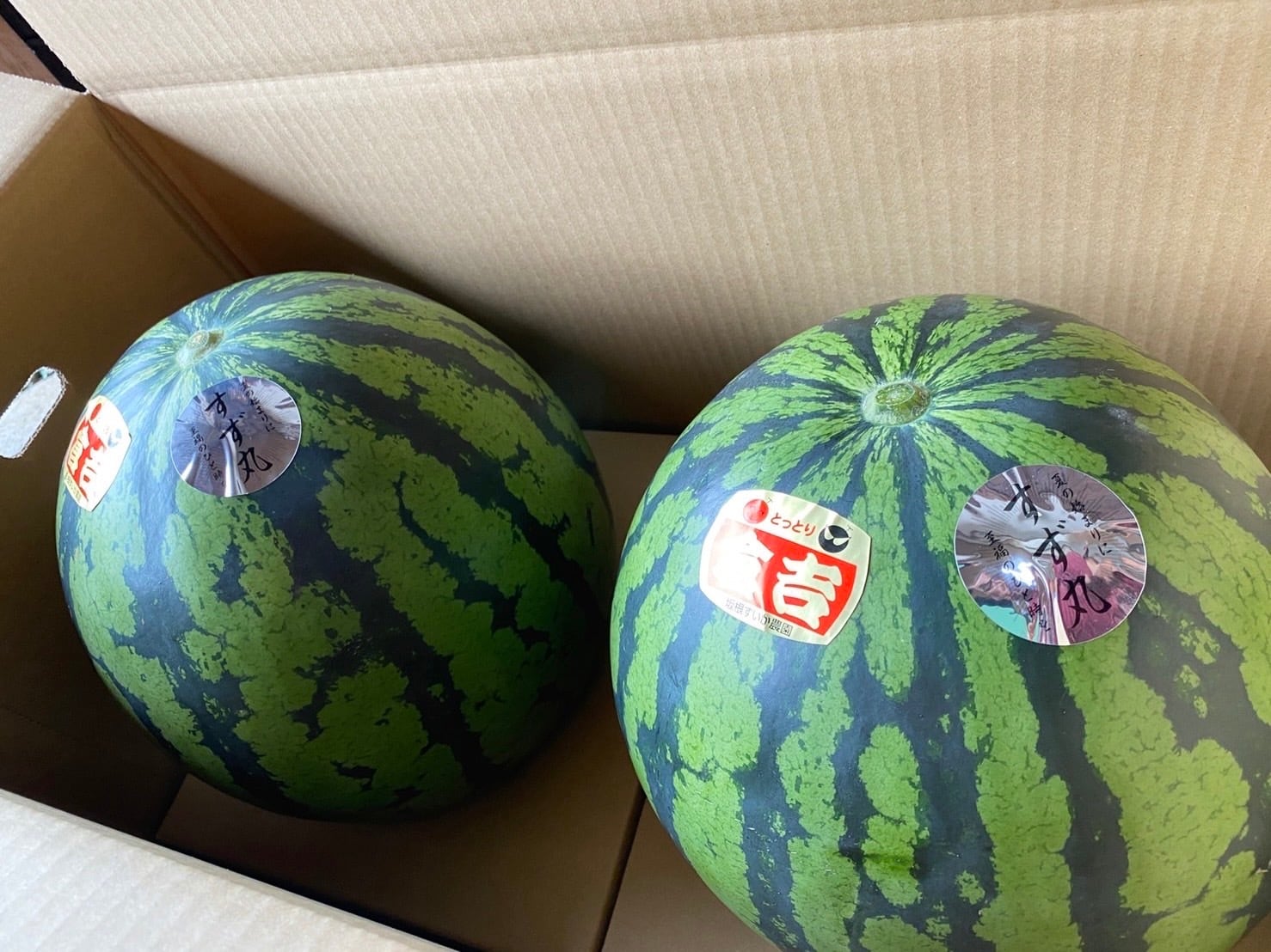 すず丸スイカ 2玉特別セット | すず丸スイカ