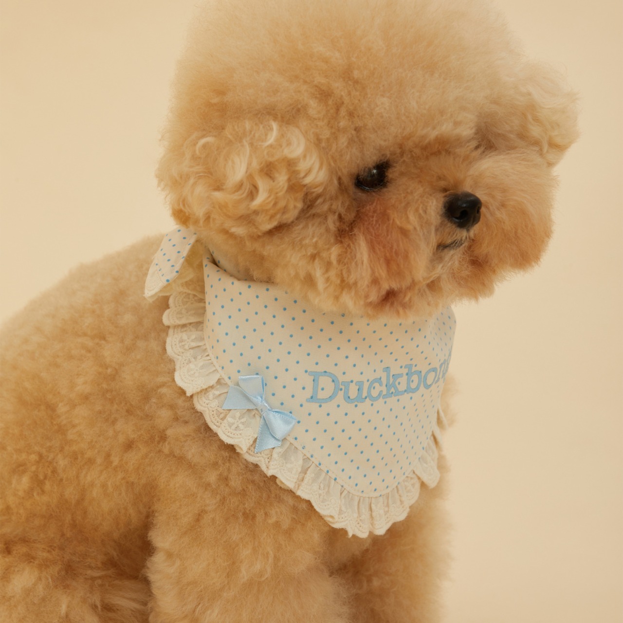 【予約】[ thesallyslaw ] Maybel Naming Bandana｜Blue dot - 9