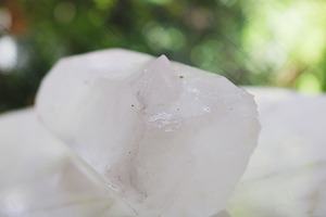 子供全員のフォーエバーハッピネス