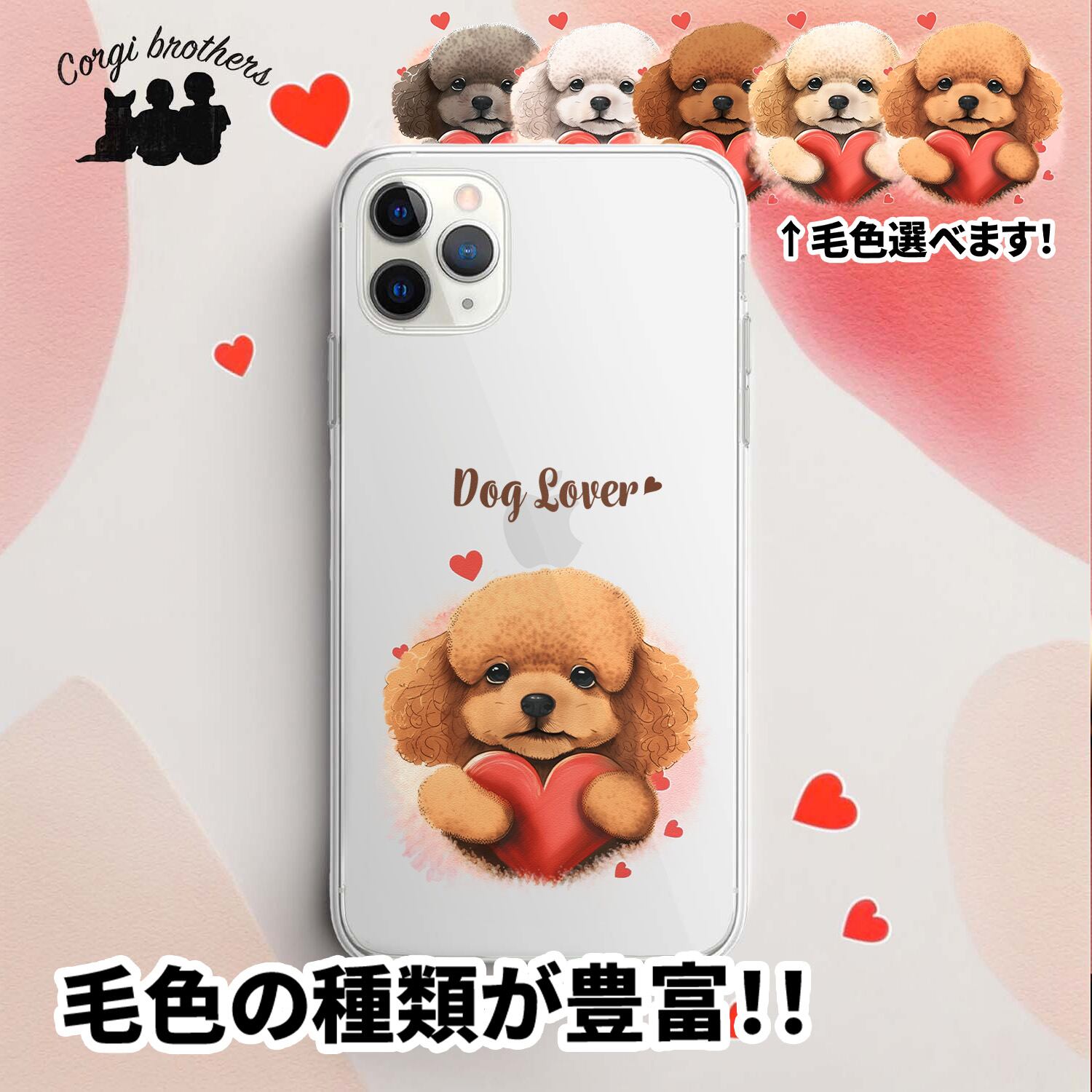 トイプードル | Corgibrothers