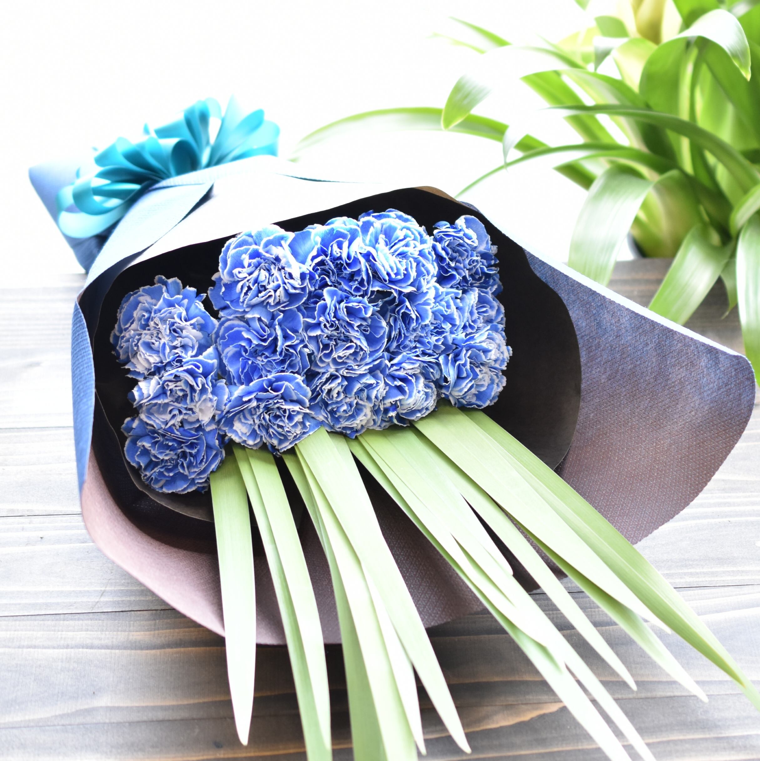 青染カーネーションの花束 フラワーブティックはなむら