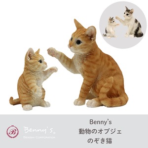 Benny’s ベニーズ キャットじゃれ合う親子