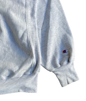 Vintage 90s Champion reverse weave sweatshirt -Plains Univesity-