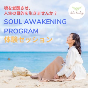 【特別価格】SOUL AWAKENING PROGRAM 体験セッション