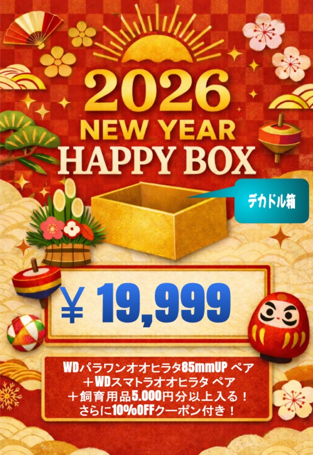 【デカドル箱】2026 New Year HAPPY BOX（お得箱） 19,999