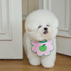 即納【BURGERS】Burgers Fruit Dog Bib (GreenApple)