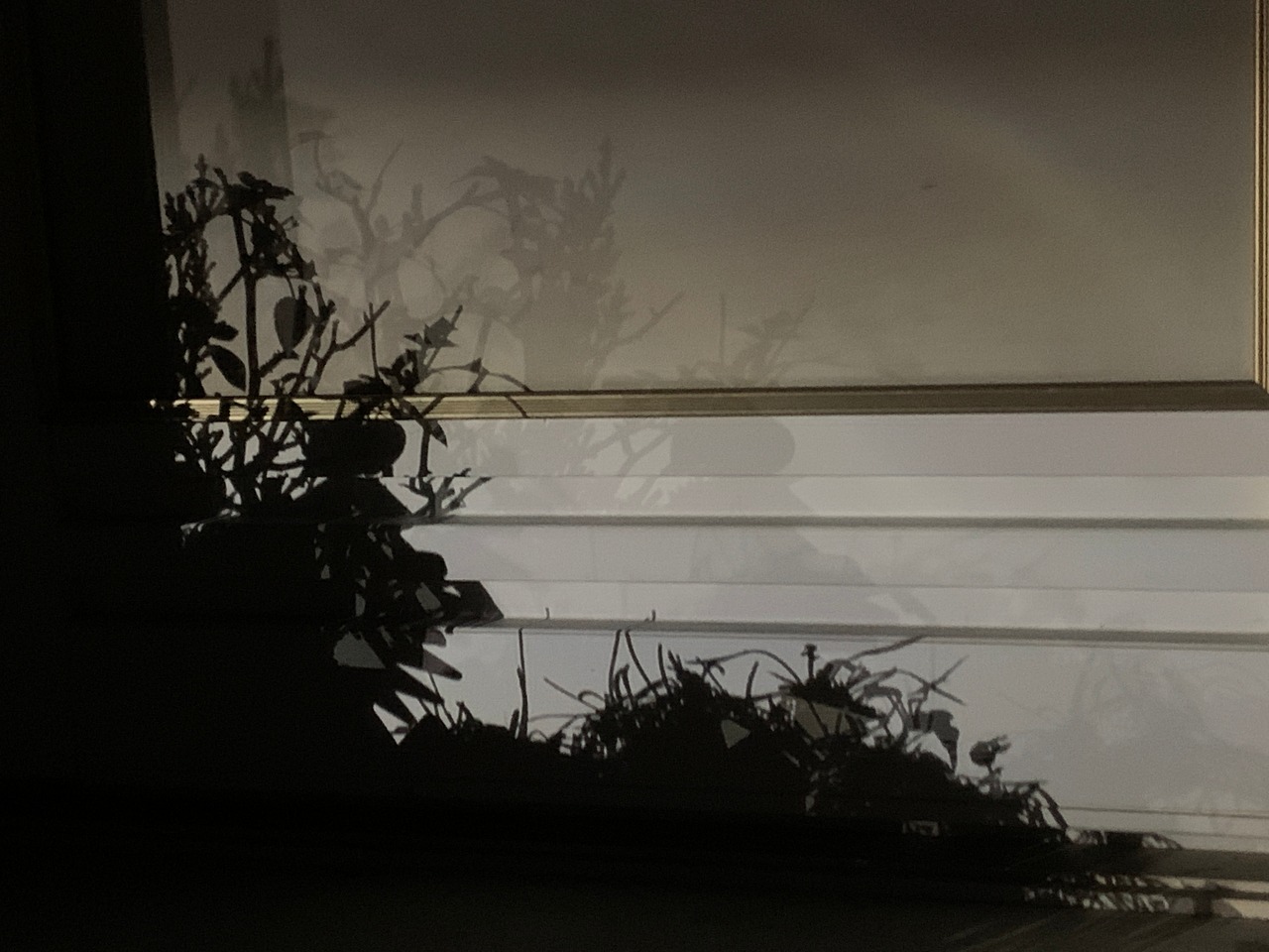 サイ.トゥオンブリーの詩と記憶