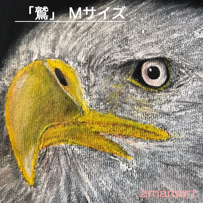 art Tシャツ オンリーワン 鷲 ワシ M サイズ Tシャツ に 水彩 で描く