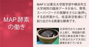 ZEN生酵素 15包入／1袋 ★送料無料★定期購入★【MAP酵素 / 野草】