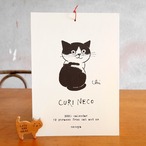 2026くりねこカレンダー“12phrases from cat and me”