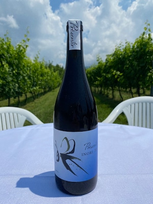 INORI Pinot Noir 2019