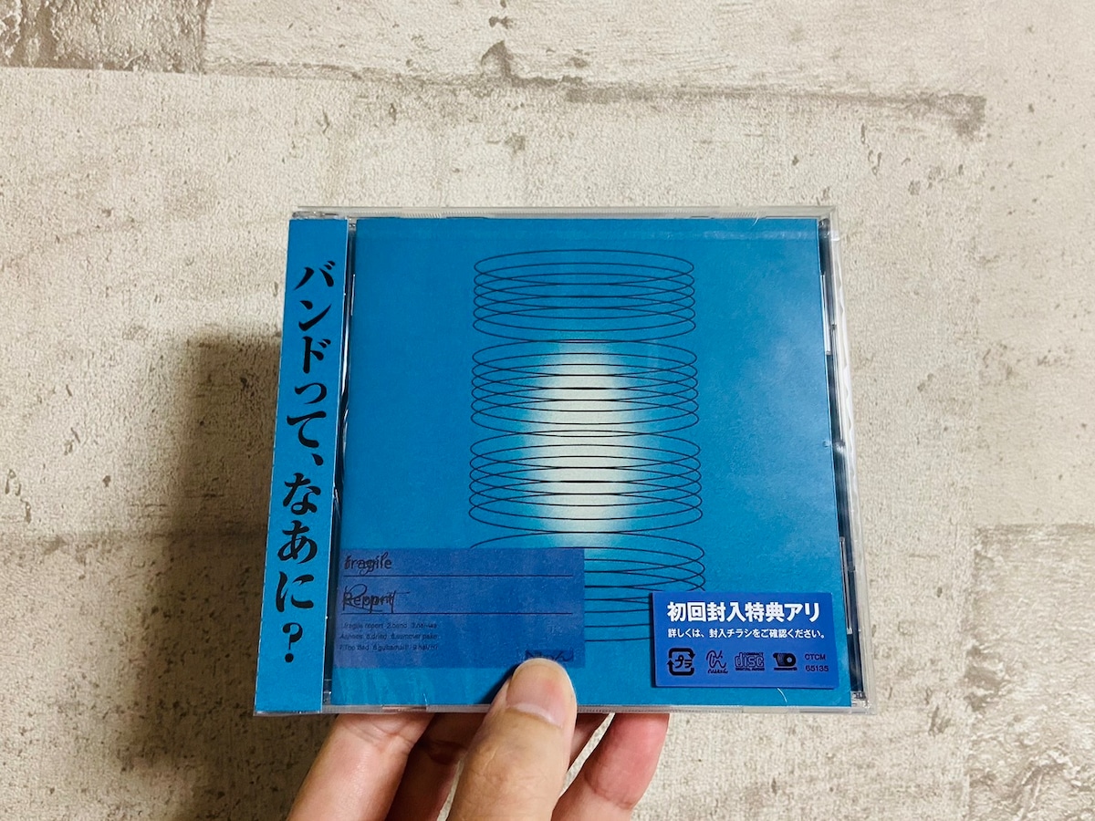Nikoん / fragile Report | HOLIDAY! RECORDS DISTRO