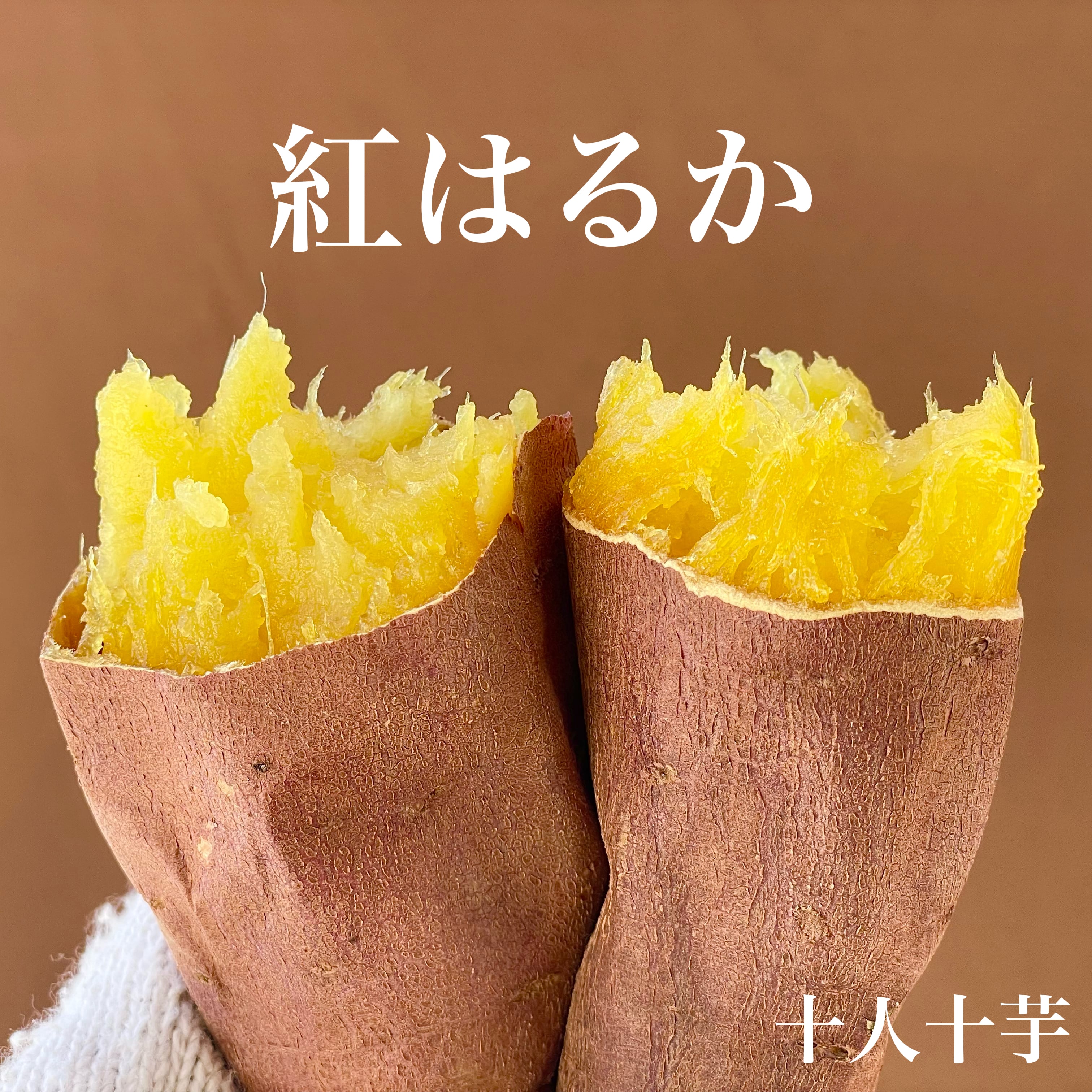 厳選壺焼き芋 熟成紅はるか 500g | さつまいも専門店 OIMOYA - 十人十芋