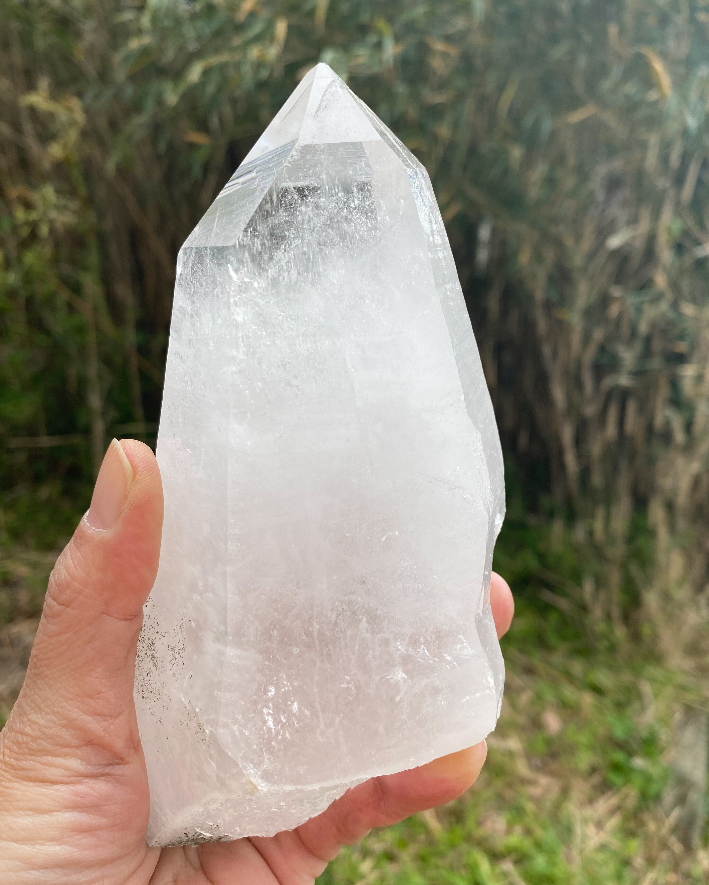 大きなセルフヒールド | Tigress Yogi