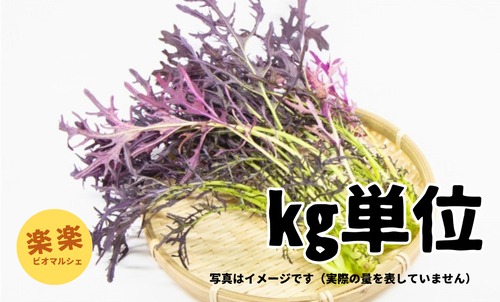 赤からし菜（大容量お得サイズ・㎏単位）
