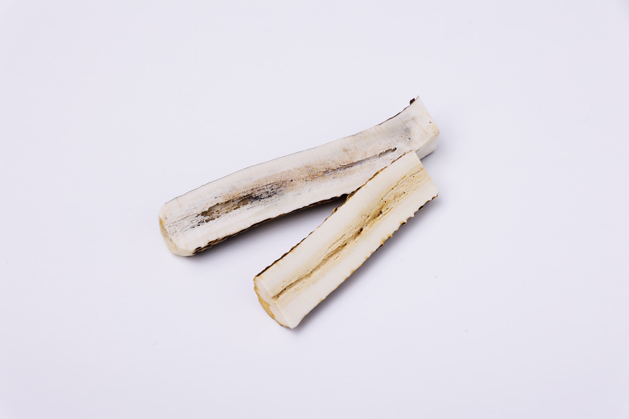 鹿の角 大 | wajica -わじか-