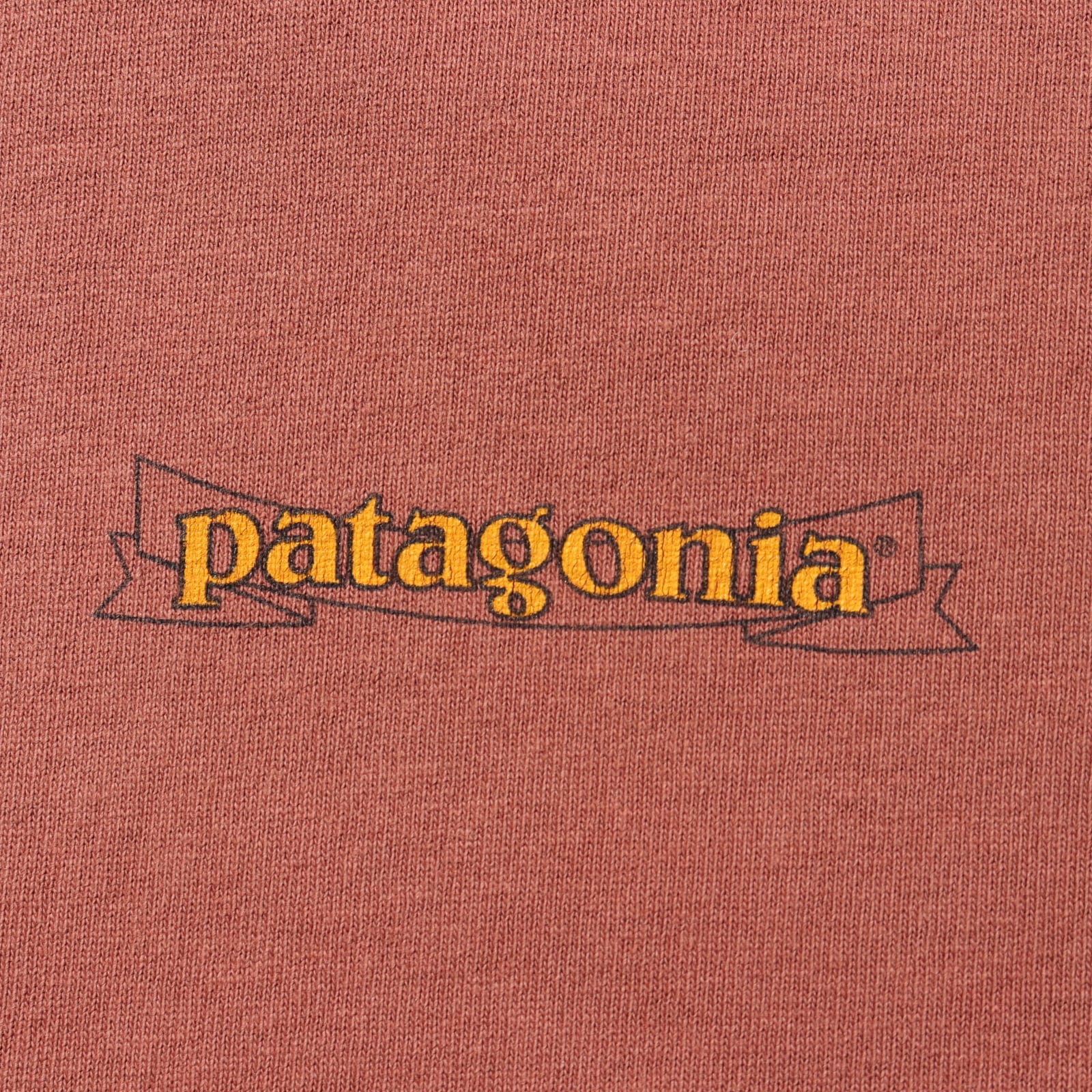 2XL patagonia ベネフィシャル Tシャツ パタゴニア 赤褐色 波