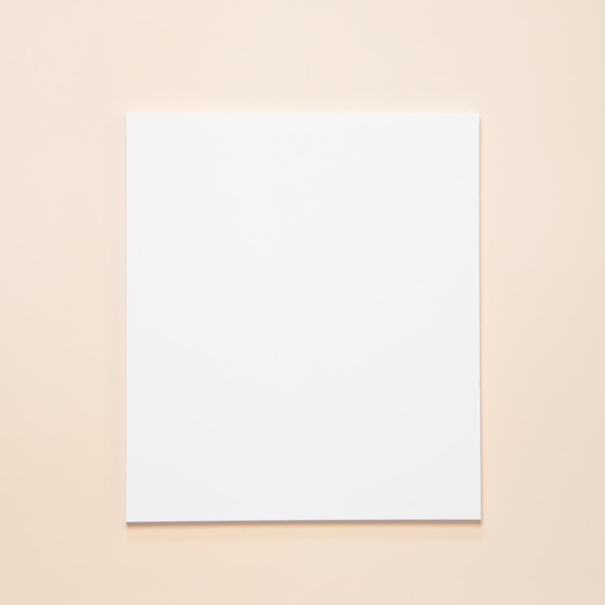 パネル Lサイズ | Net store アンナとラパン