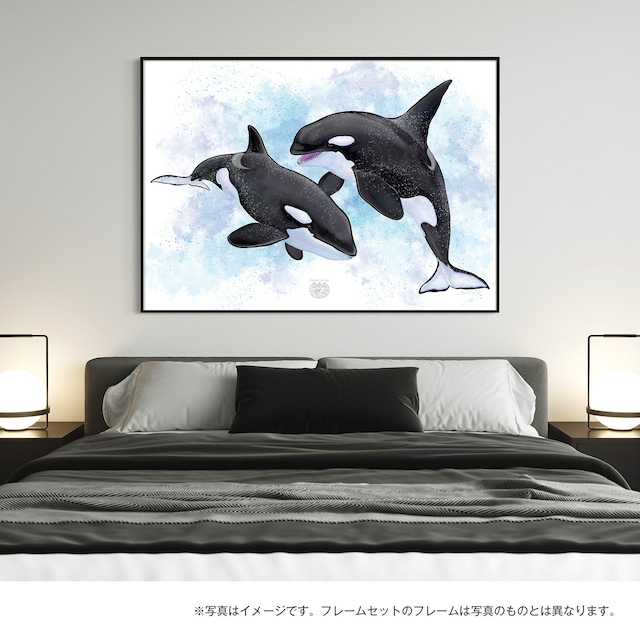 【海のいきものアートポスター／海洋哺乳類】シャチ