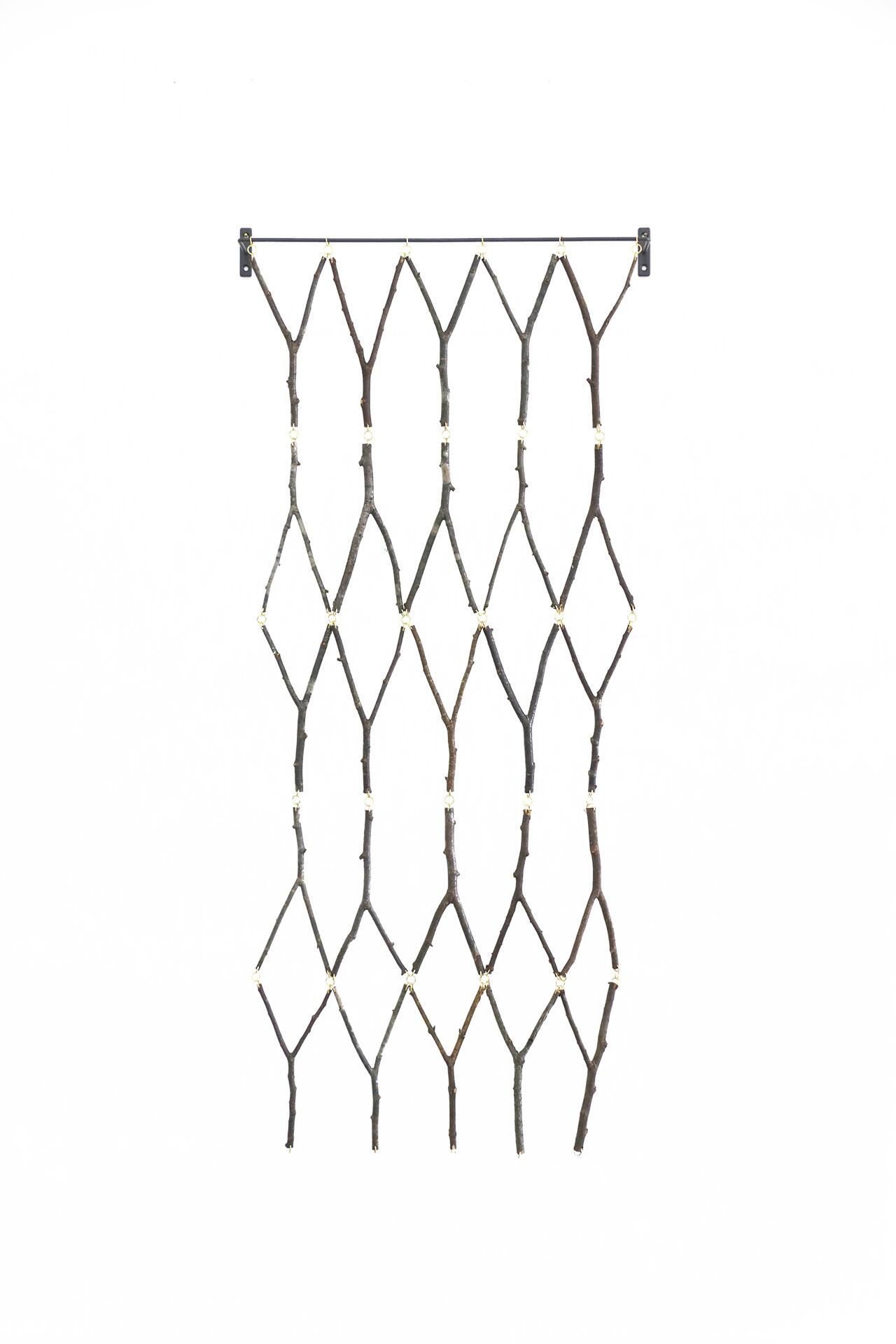 2024 autumn | suchsize