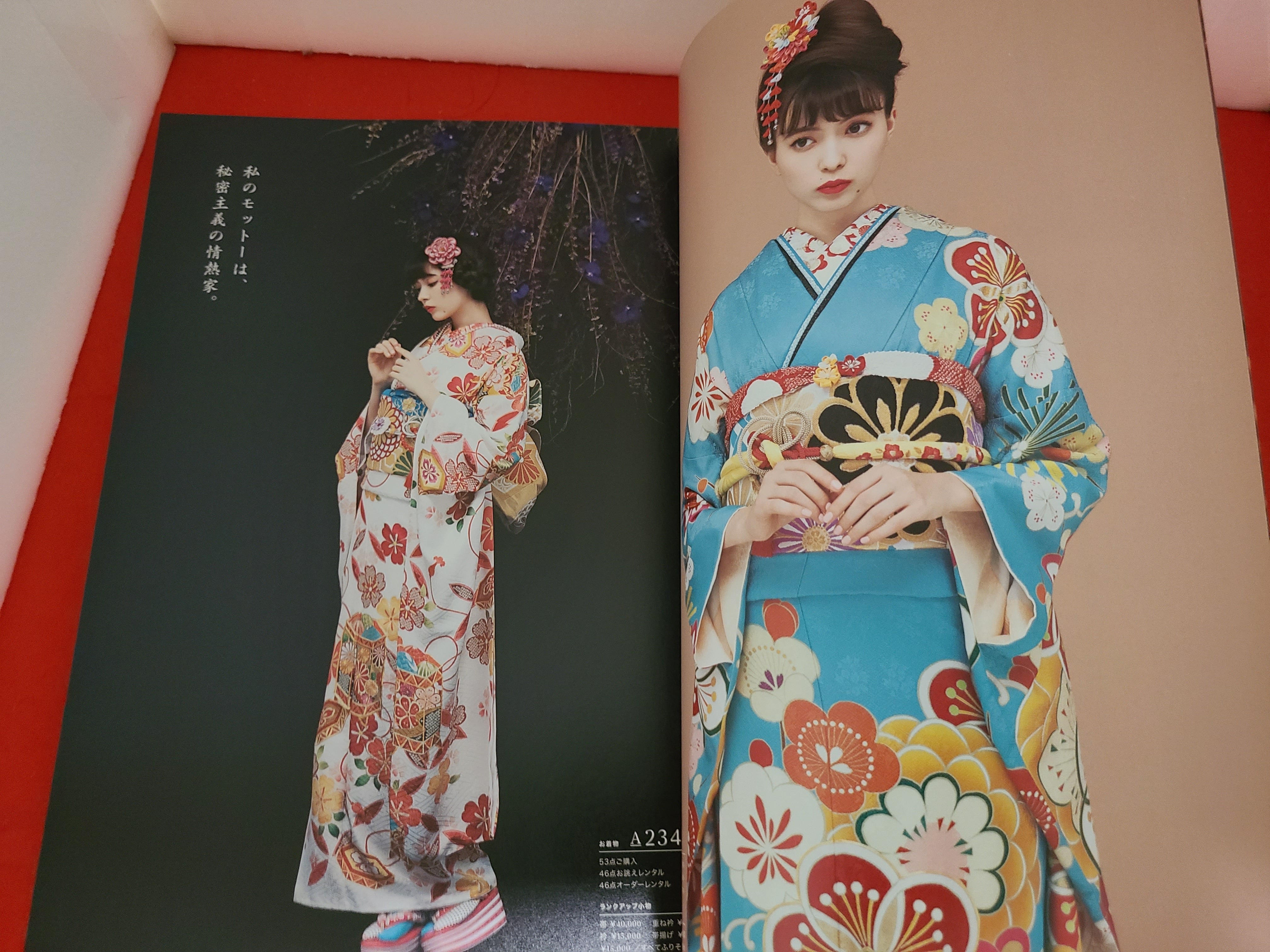 おすすめカタログ FURISODE MODE (振袖モード) 表紙 八木りさ | PAY ID