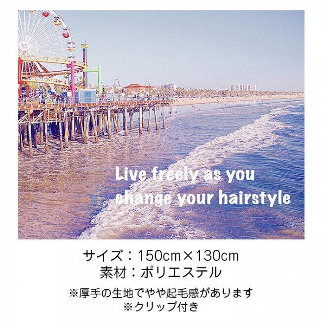 絵画 ☆サンタモニカサンセット☆