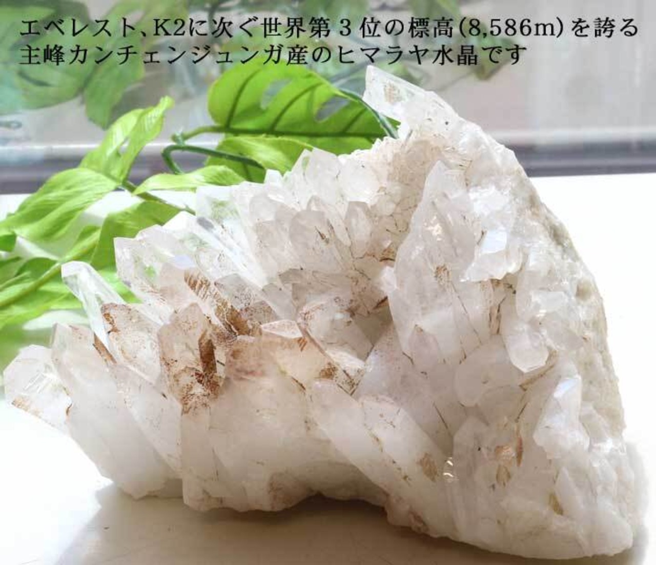 カンチェンジュンガ産ヒマラヤ水晶クラスター41（天然石 パワーストーン 原石）・画像8