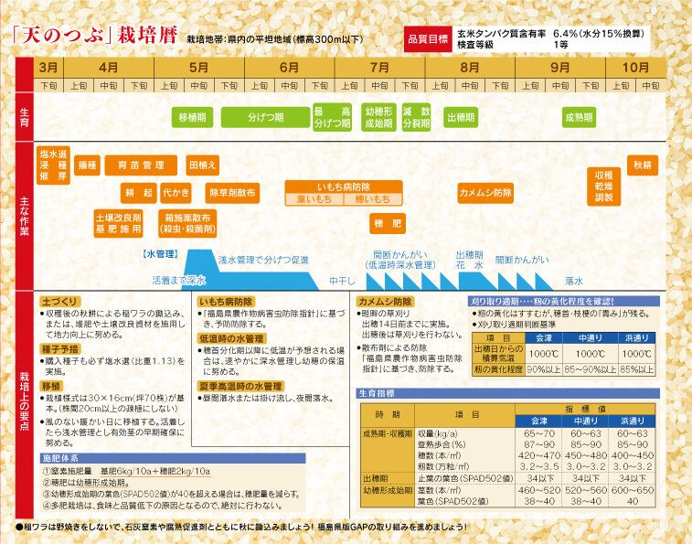 3e034665b892edd2e92ca76a0259c6