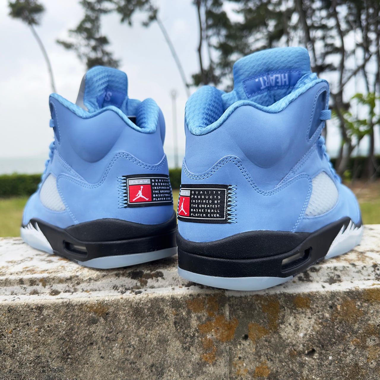 Nike AirJordan5 Retro SE University Blue