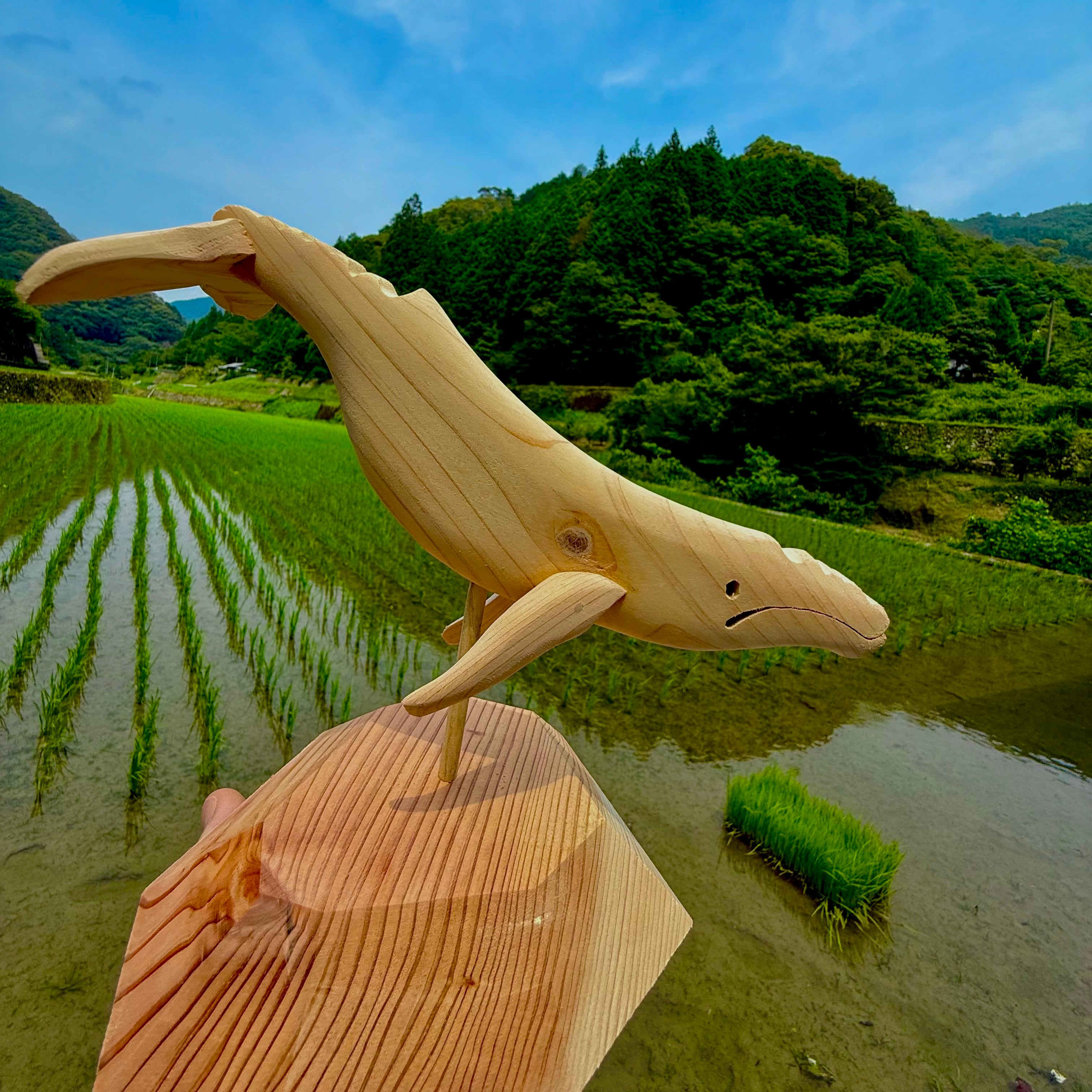 鯨のオブジェ （横22cm×縦20cm） | simanto工房