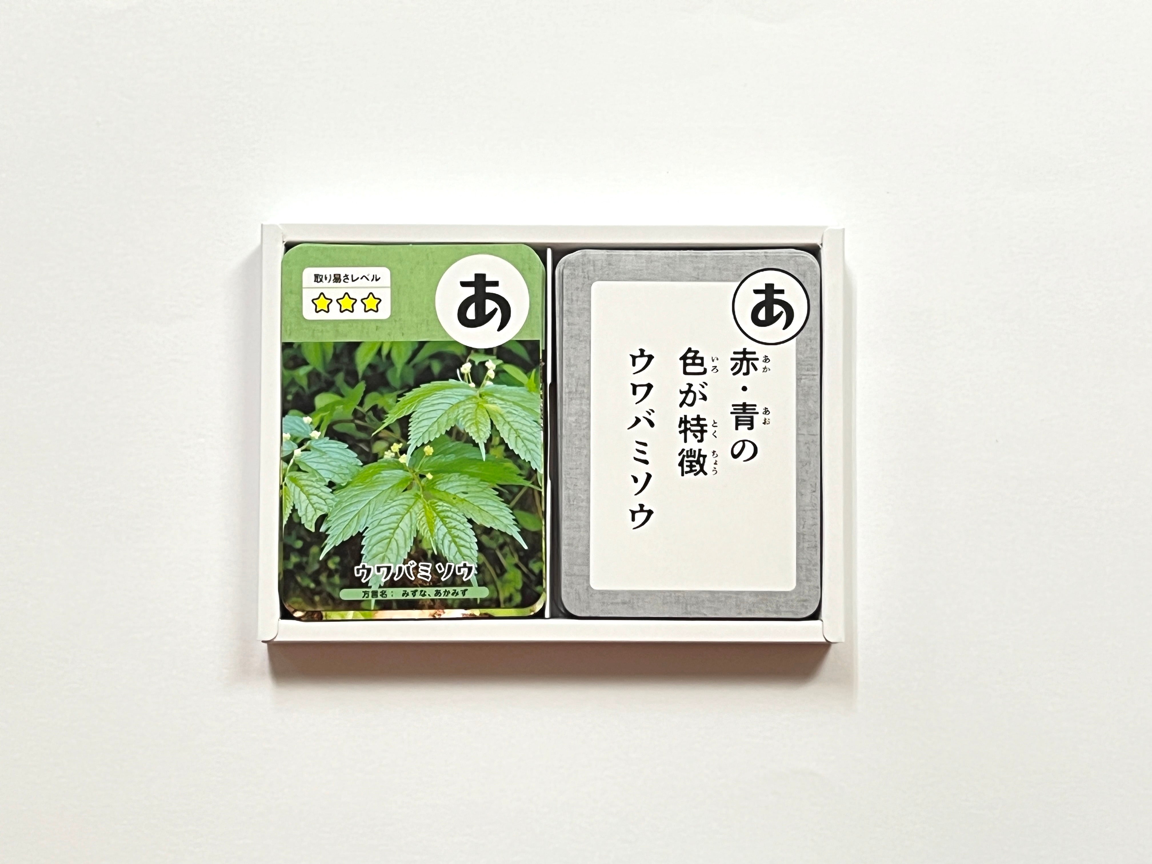 阿賀町の地域カルタ【阿賀るた「春と秋の恵み編」】 | アガマチ