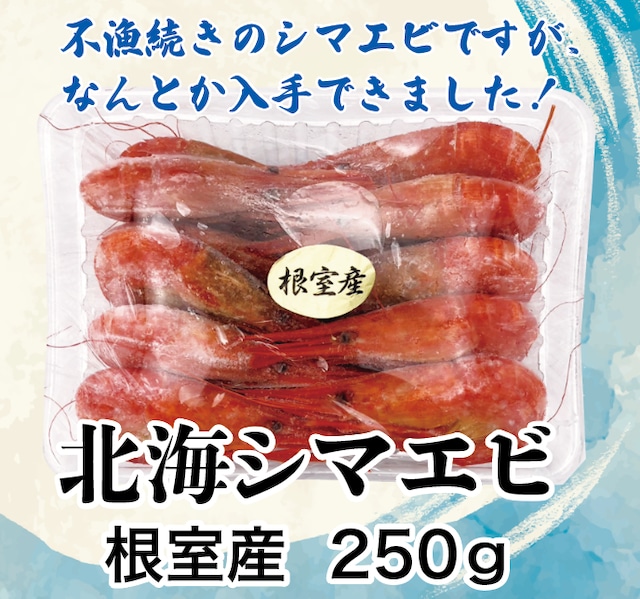 北海道根室産 北海シマエビ 250g