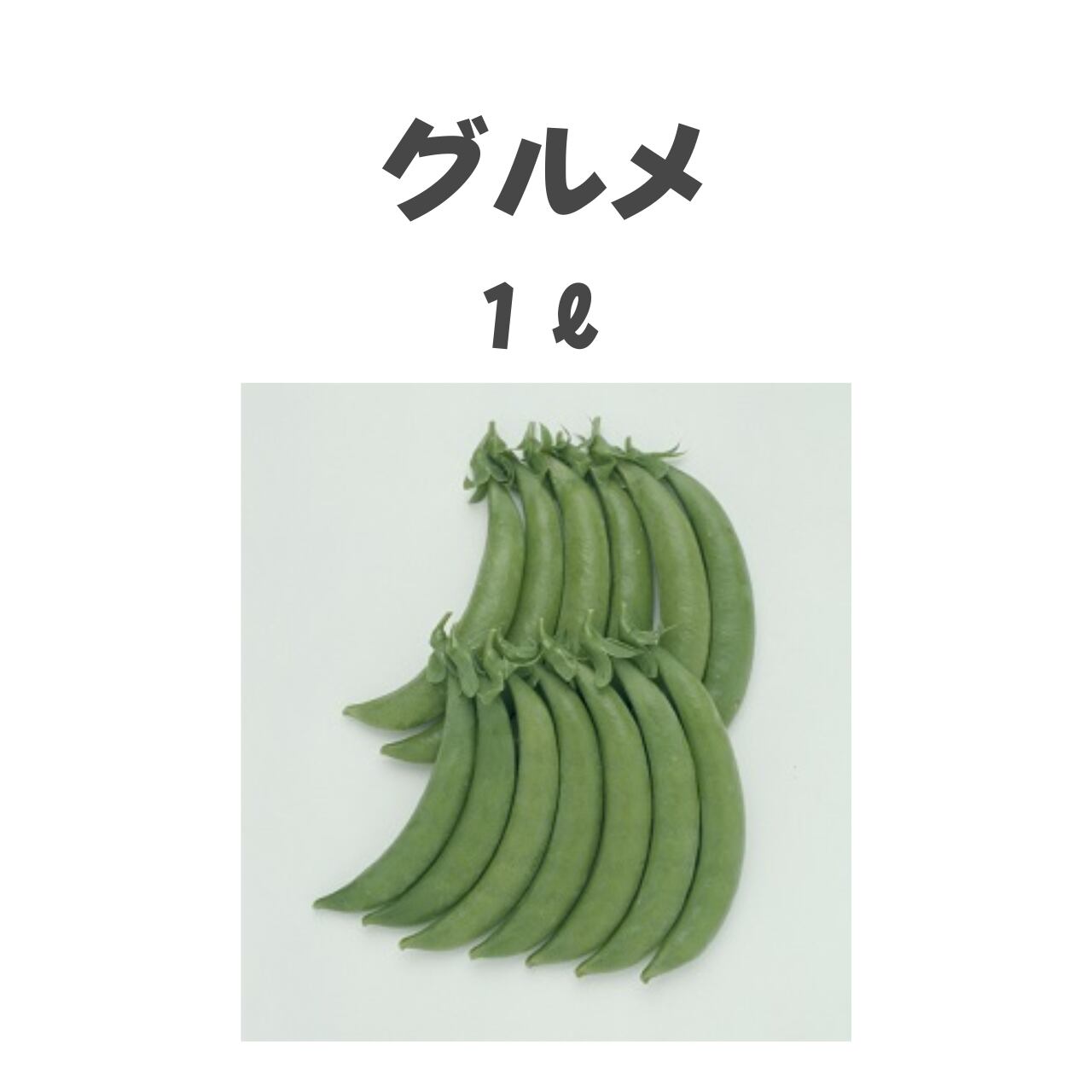 グルメ エンドウ種子・1L