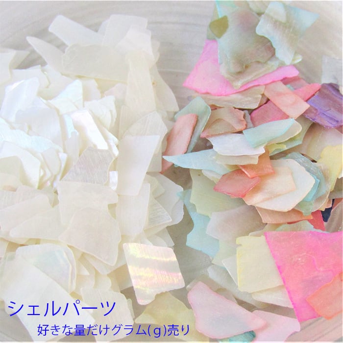 シェルパーツ ネイル レジン 封入 デコ 天然貝 塗装貝 ホワイト カラー