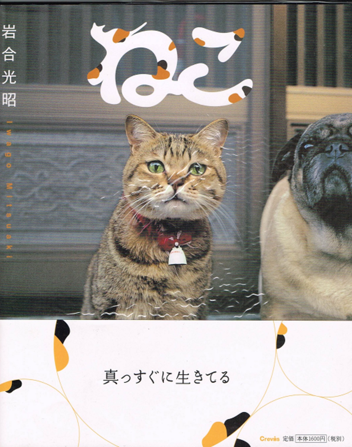 やぎねこページ白百合 31点 91jIvz5GRkL._UF350,350_QL50_.jpg