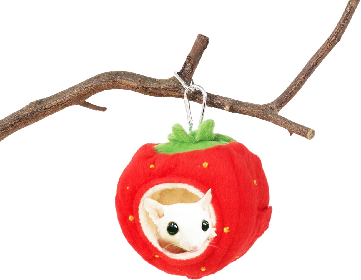 【小動物用品】フルーツポット いちご/キウイ/バナナ