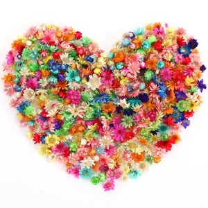 【在庫のみ】Neiang ドライフラワー レジン用 400個入り 押し花 乾燥シート レジン ドライフラワー ドライフラワー 花材 ホログラム パーツ マルチカラー 373-4556