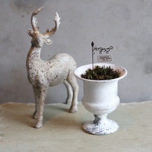 ムスカリカップ　届いてすぐ玄関に飾れる 　プレゼントにもオススメ　