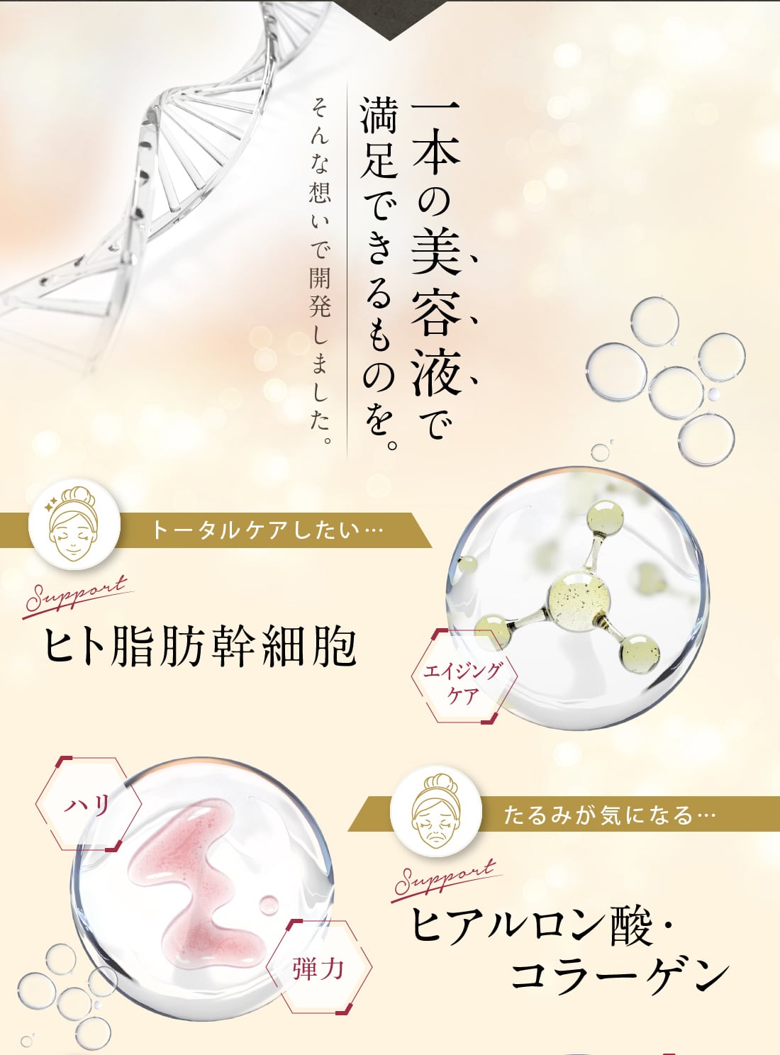 ヒト幹細胞 高機能 美容液 機能性 エイジングケア 【PADMAA】プレミアムセラム  人幹細胞 日本製 化粧品 EGF ETF ビタミンｃ セラミド  大人の肌悩みを全方位サポート【定期便】