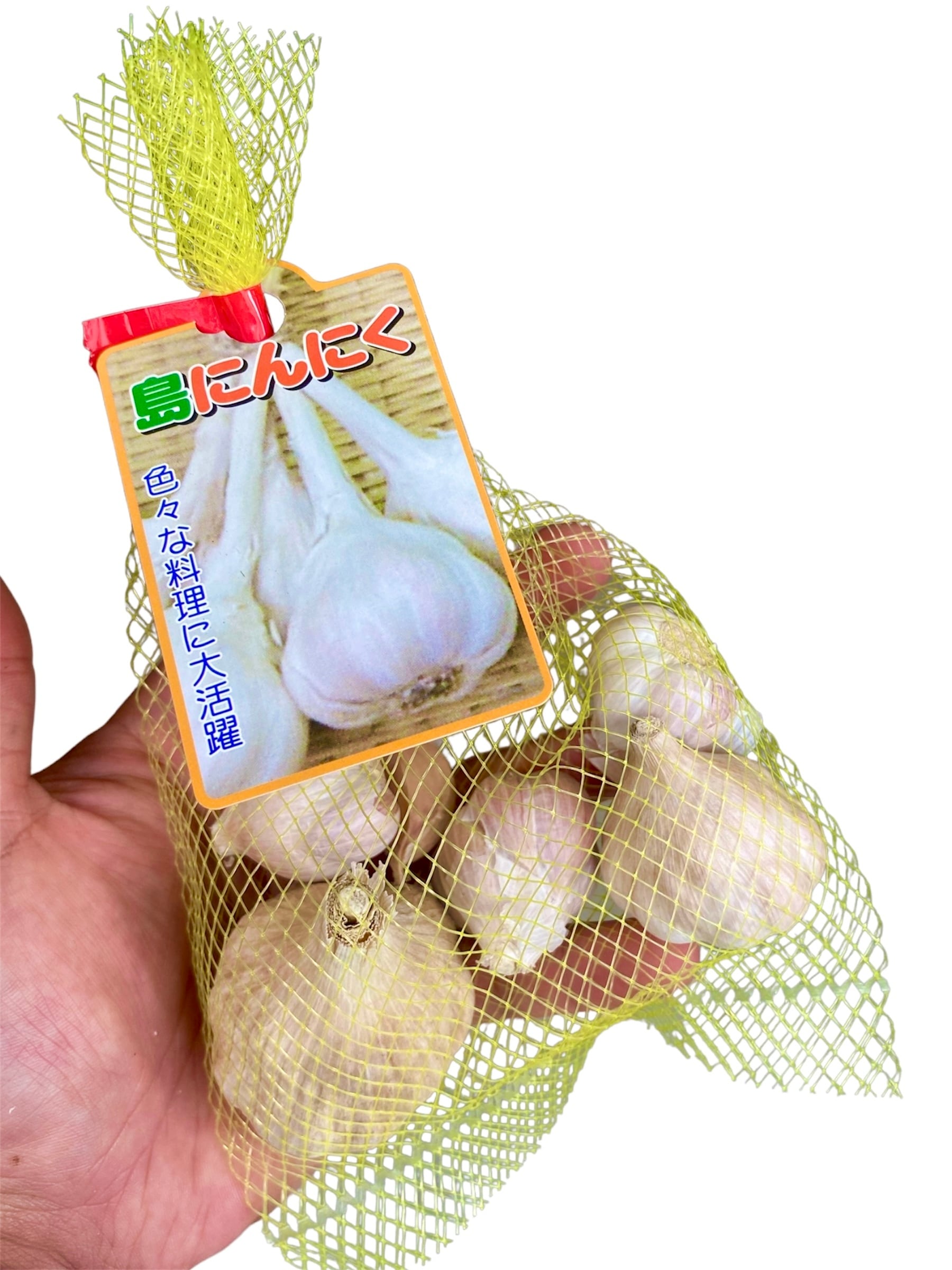 沖縄県産 島にんにく Lサイズ 3キロ 無農薬 数量限定 沖縄 野菜 沖縄島野菜「島にんにく」約100g 種子用 | wakabaseed