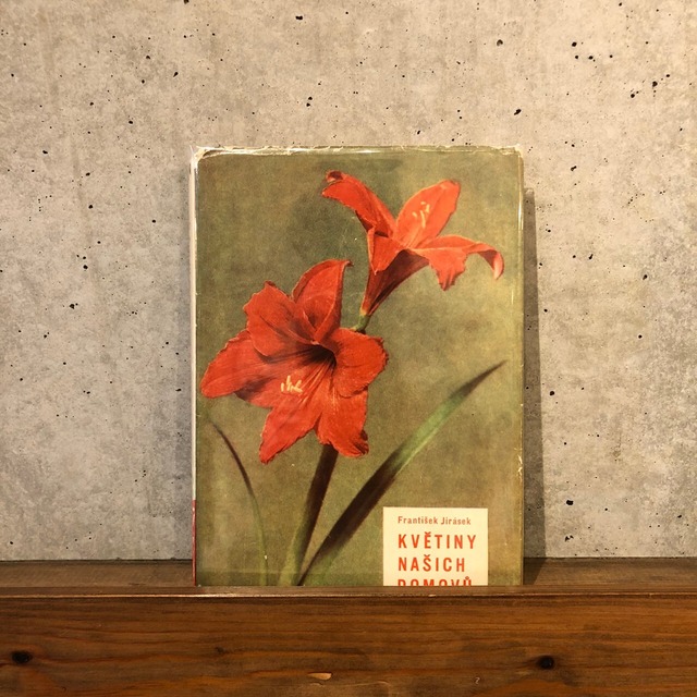 KVETINY NASICH DOMOVU