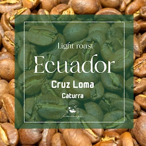 【エクアドル】 Cruz Loma Caturra │Light roast