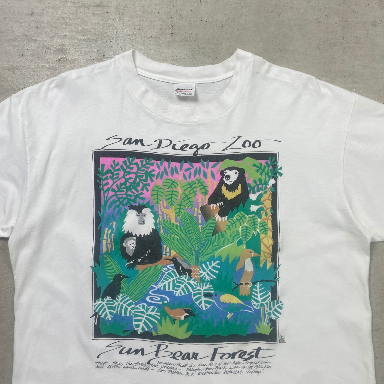 80〜90年代 SAN DIEGO ZOO アートプリントTシャツ アニマル メンズXL 