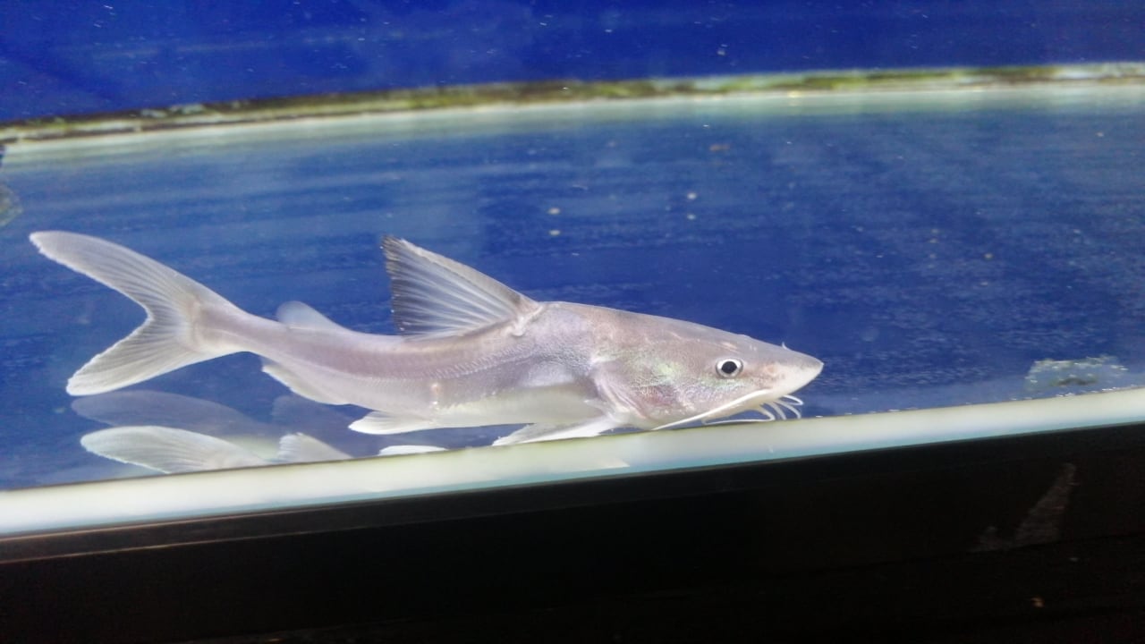 3e139e0912f95b5f43dc1eff43b071